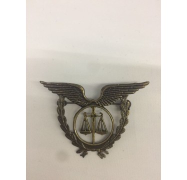 Emblema de metal da força aérea [modelo 10]